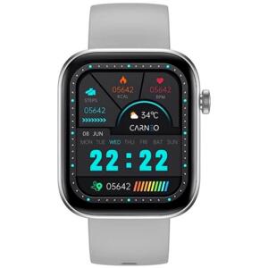 Carneo Zenith HR+ silver