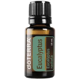 Doterra Eucalyptus