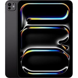 iPad 11" Pro M4 WiFi 2 TB with Standard glass Space Black 2024