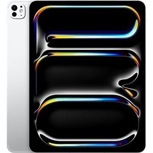 iPad 13" Pro M4 WiFi 1 TB with Standard glass Silver 2024