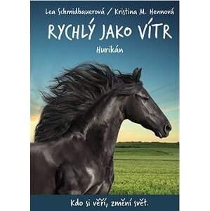 Rychlý jako vítr: Hurikán
